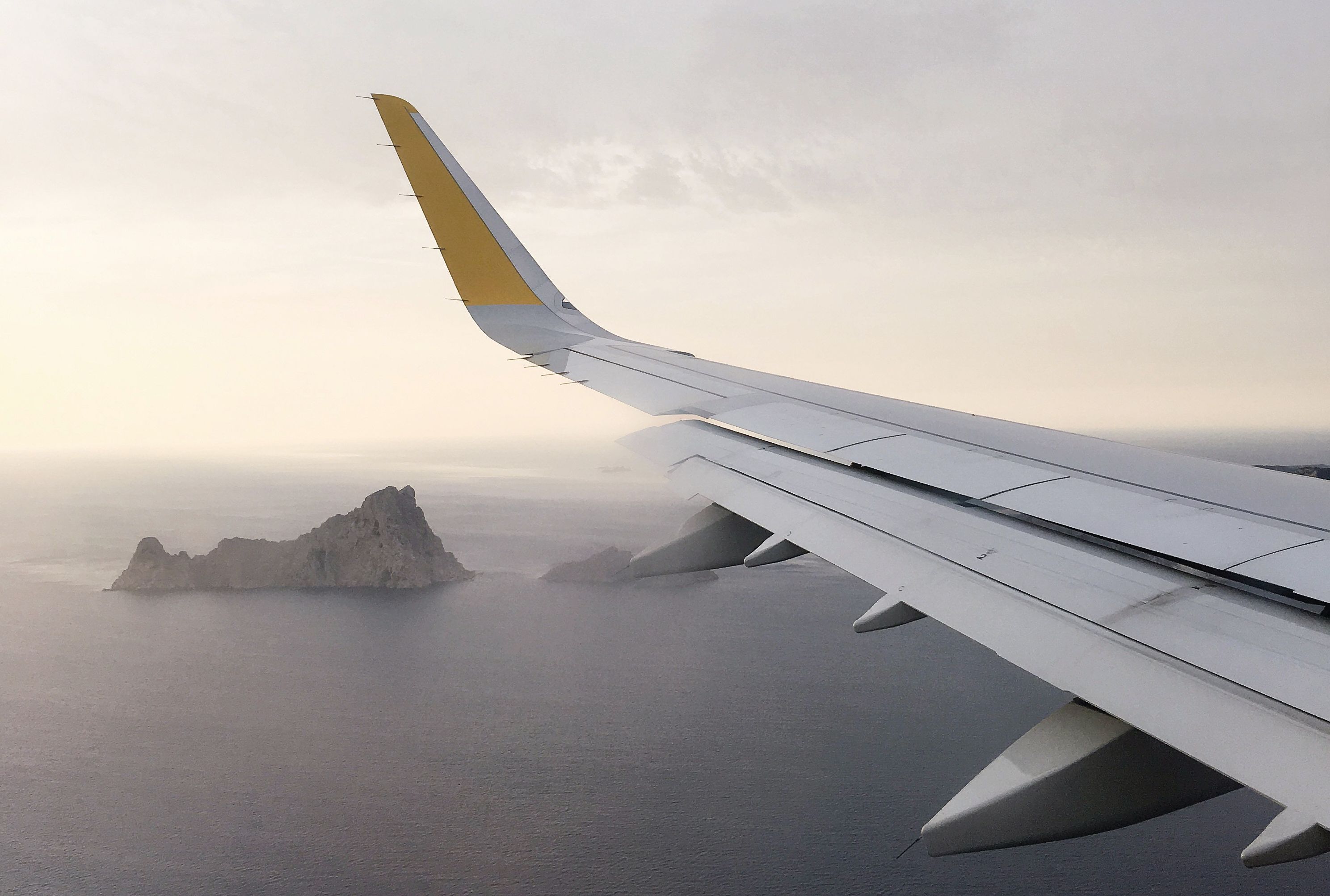 עתידו של שלד המטוס